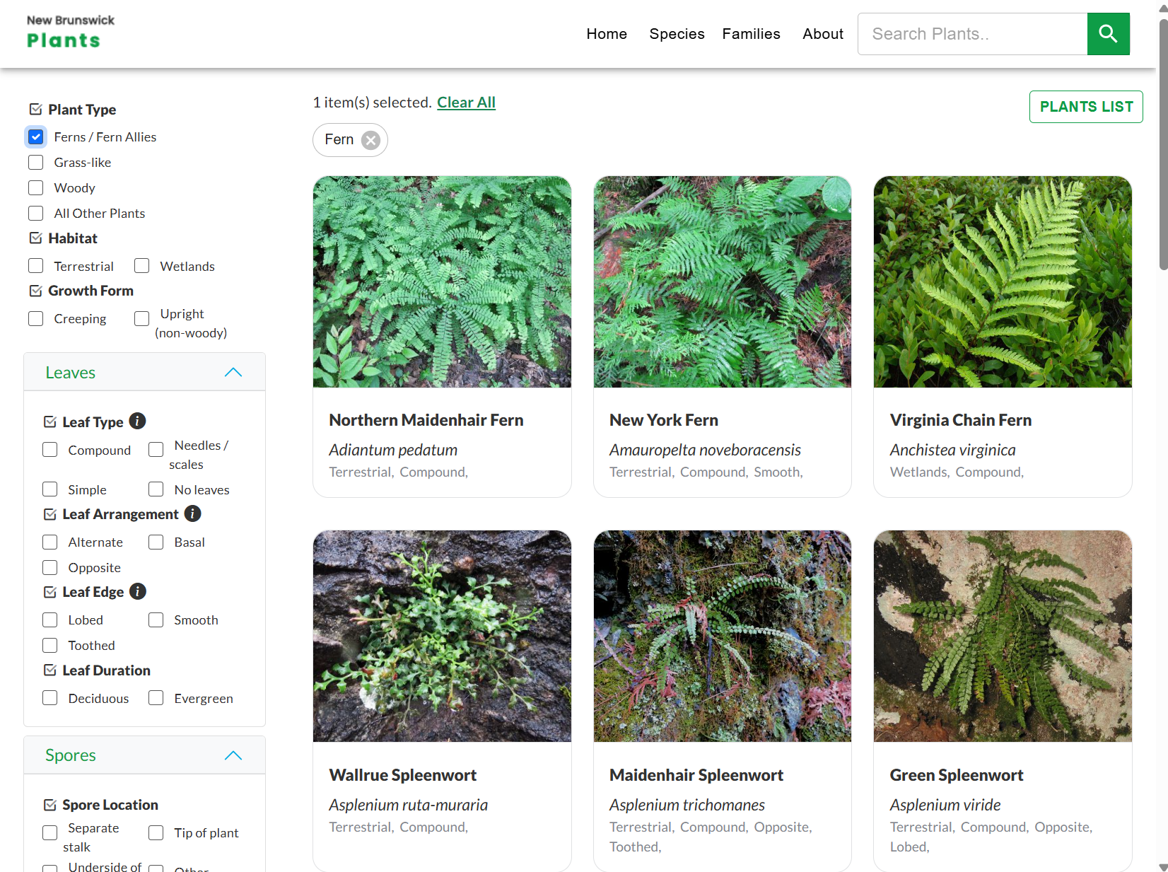 Screenshot of the New Brunswick Plants, Plants page.